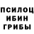 Галлюциногенные грибы Psilocybine cubensis Klaus Marden