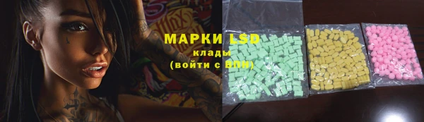 PSILOCYBIN Балахна