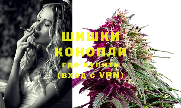 PSILOCYBIN Балахна