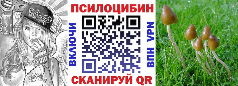 наркота  hydra рабочий сайт  Псилоцибиновые грибы GOLDEN TEACHER  Сычёвка 