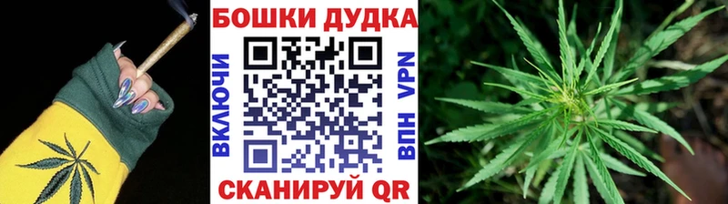 МАРИХУАНА планчик Сычёвка